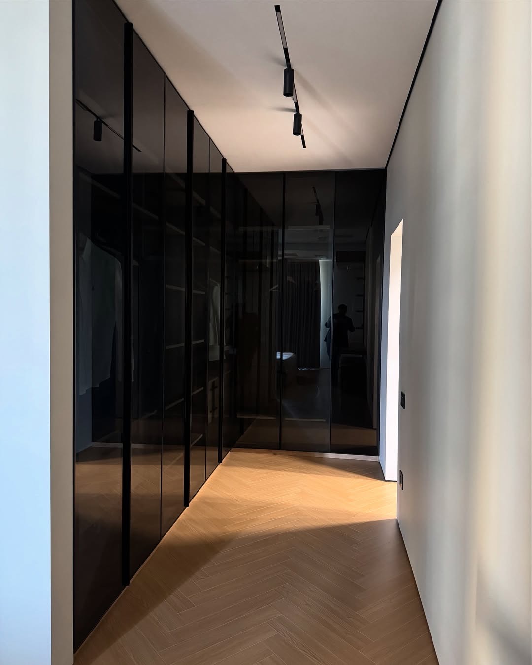 Dark Glass Closet System